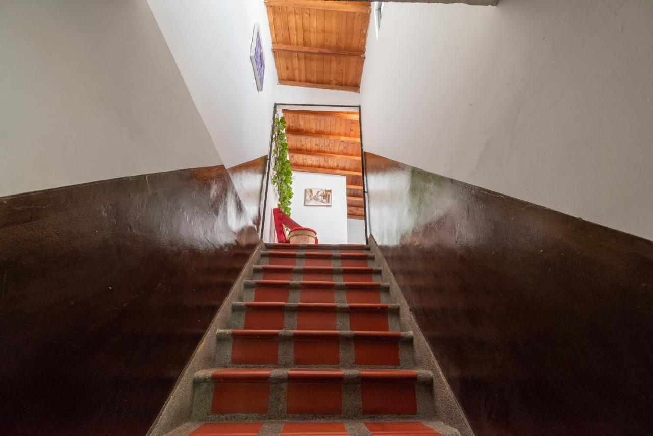 Campo Valdes Park Hostel Medellin Bagian luar foto